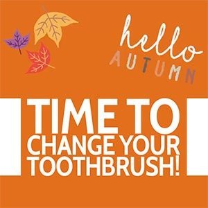 New tooth brush time